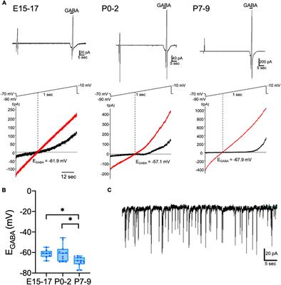 Early establishment of chloride homeostasis in CRH neurons is altered by prenatal stress leading to fetal HPA axis dysregulation